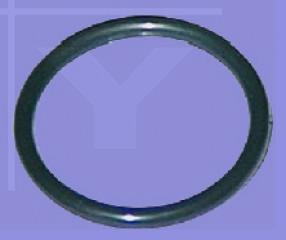 O-Ring Beckenanschluss Pumpe