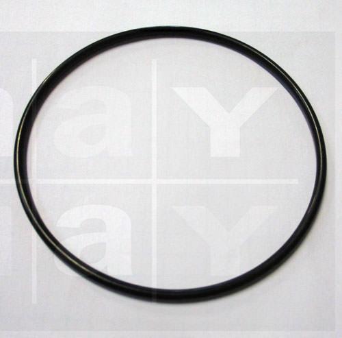 O-Ring für Waschpumpe
