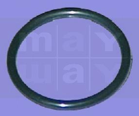 O-Ring Beckenanschluss Pumpe