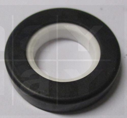 Gleitring