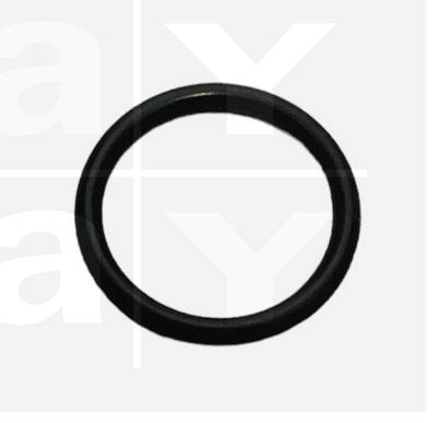O-Ring 02056
