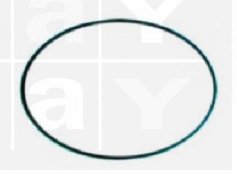 O-Ring Waschpumpe D: 2x120 mm