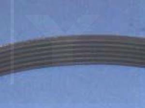 Antriebsriemen Multigrip 559 J12