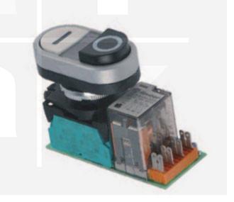 Schalter doppelt mit Elektronik 220V