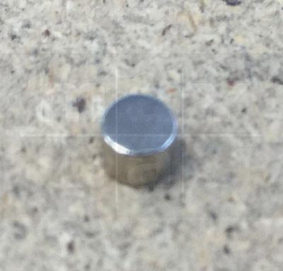 Magnet für Tür