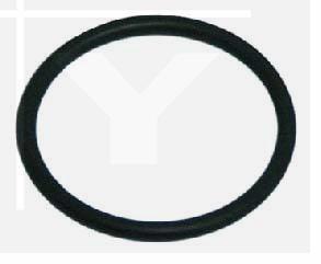 O- Ring für Ventil