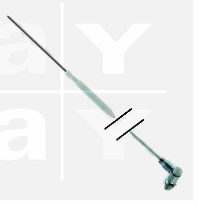 Kerntemperaturfühler PT100