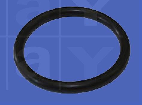 O-Ring für Überlaufrohr